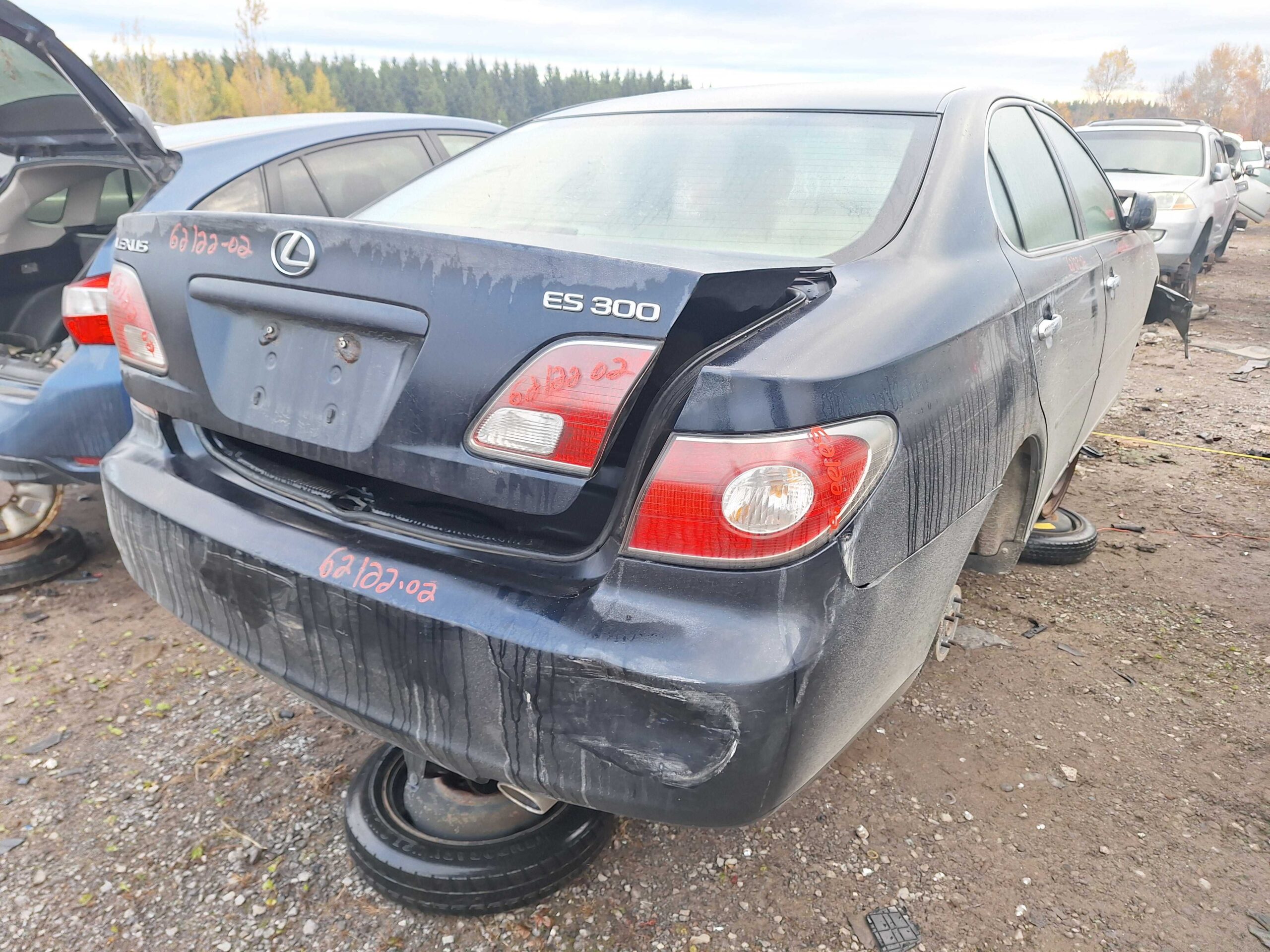 LEXUS ES 300 2002