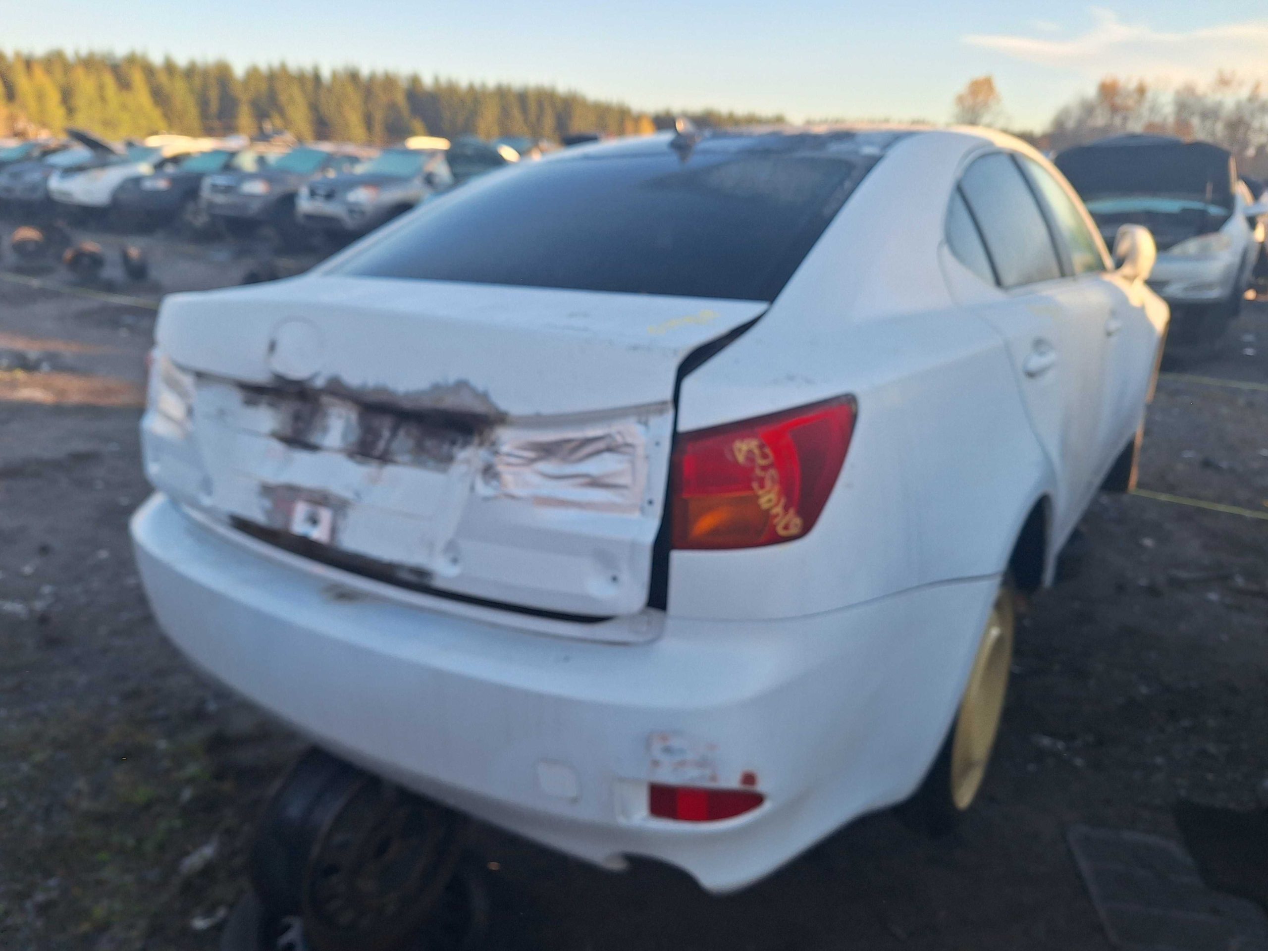 LEXUS IS 250 2008