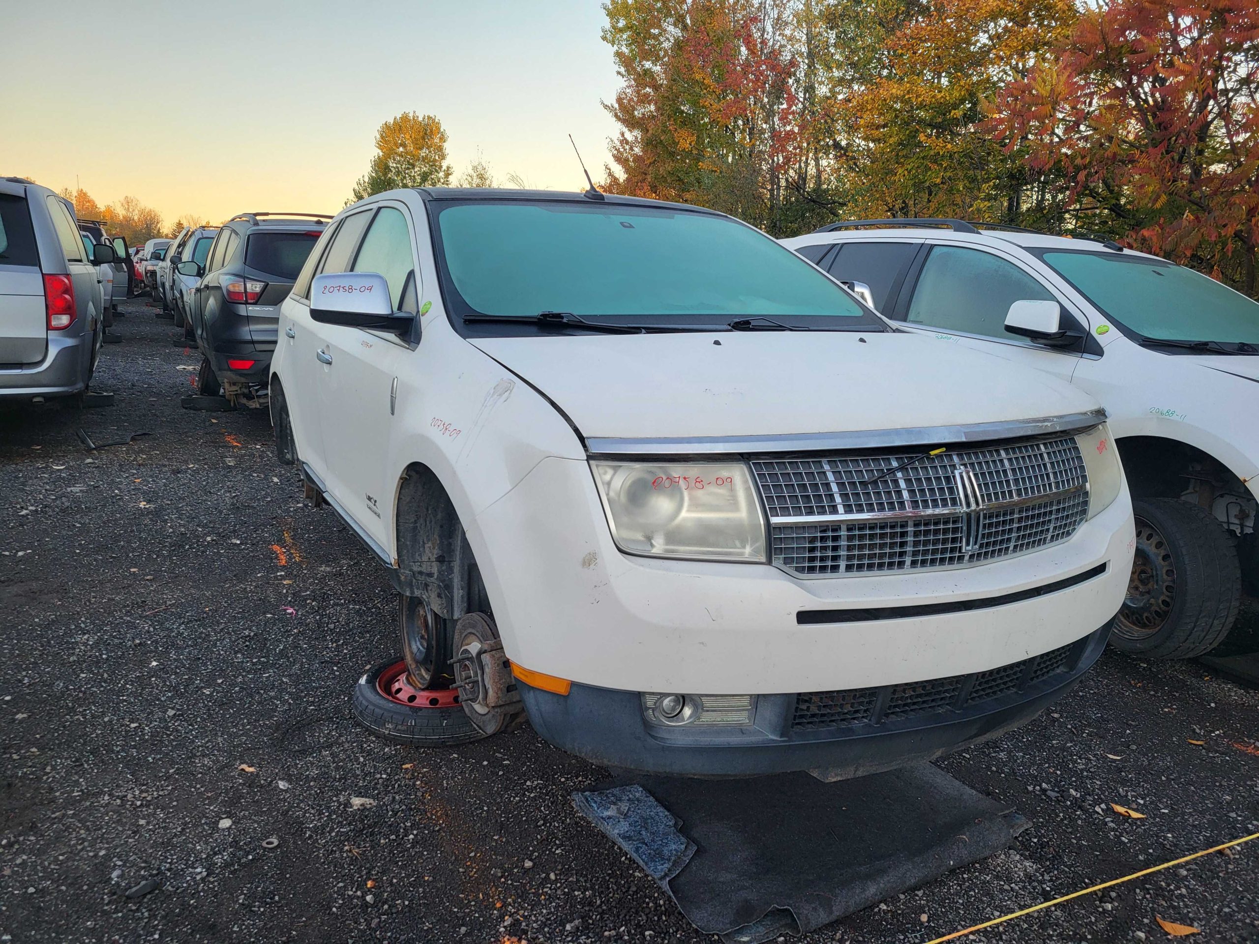 LINCOLN MKX 2009
