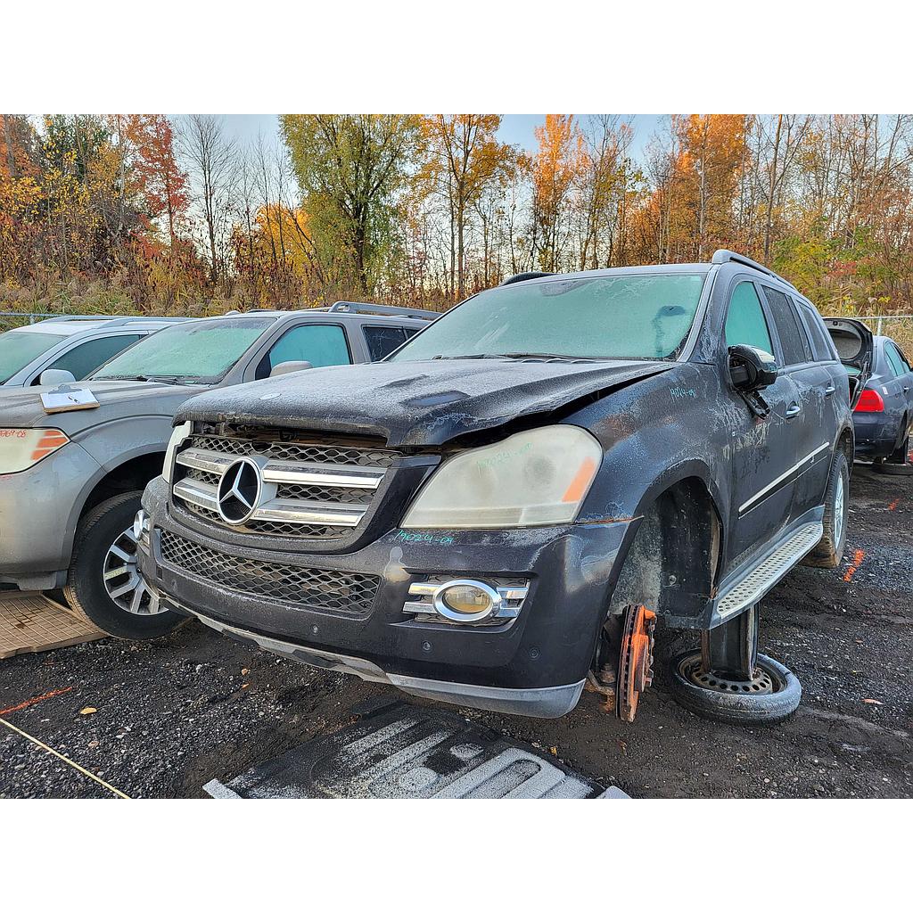 MERCEDES-BENZ GL-CLASS 2009