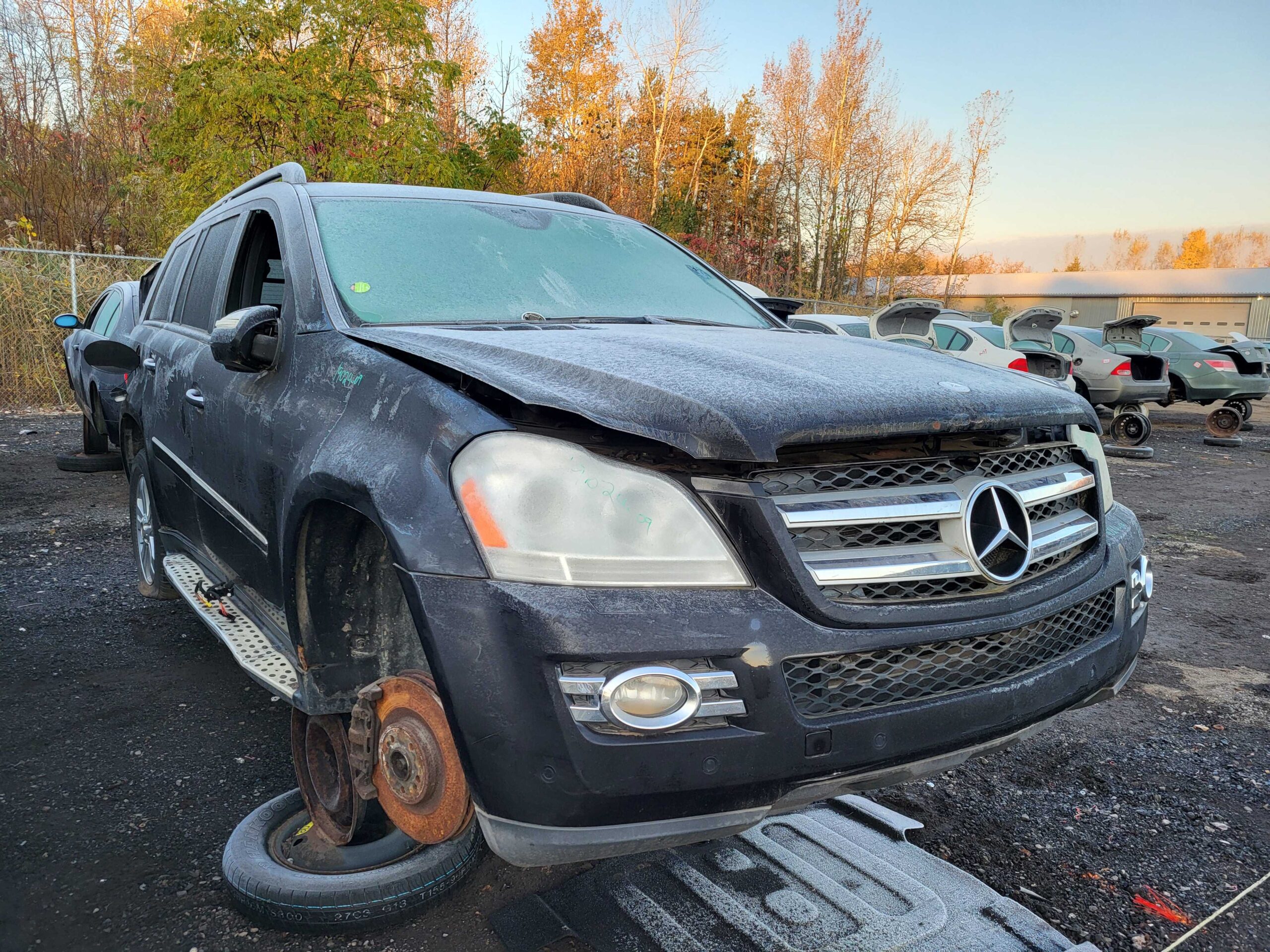 MERCEDES-BENZ GL-CLASS 2009
