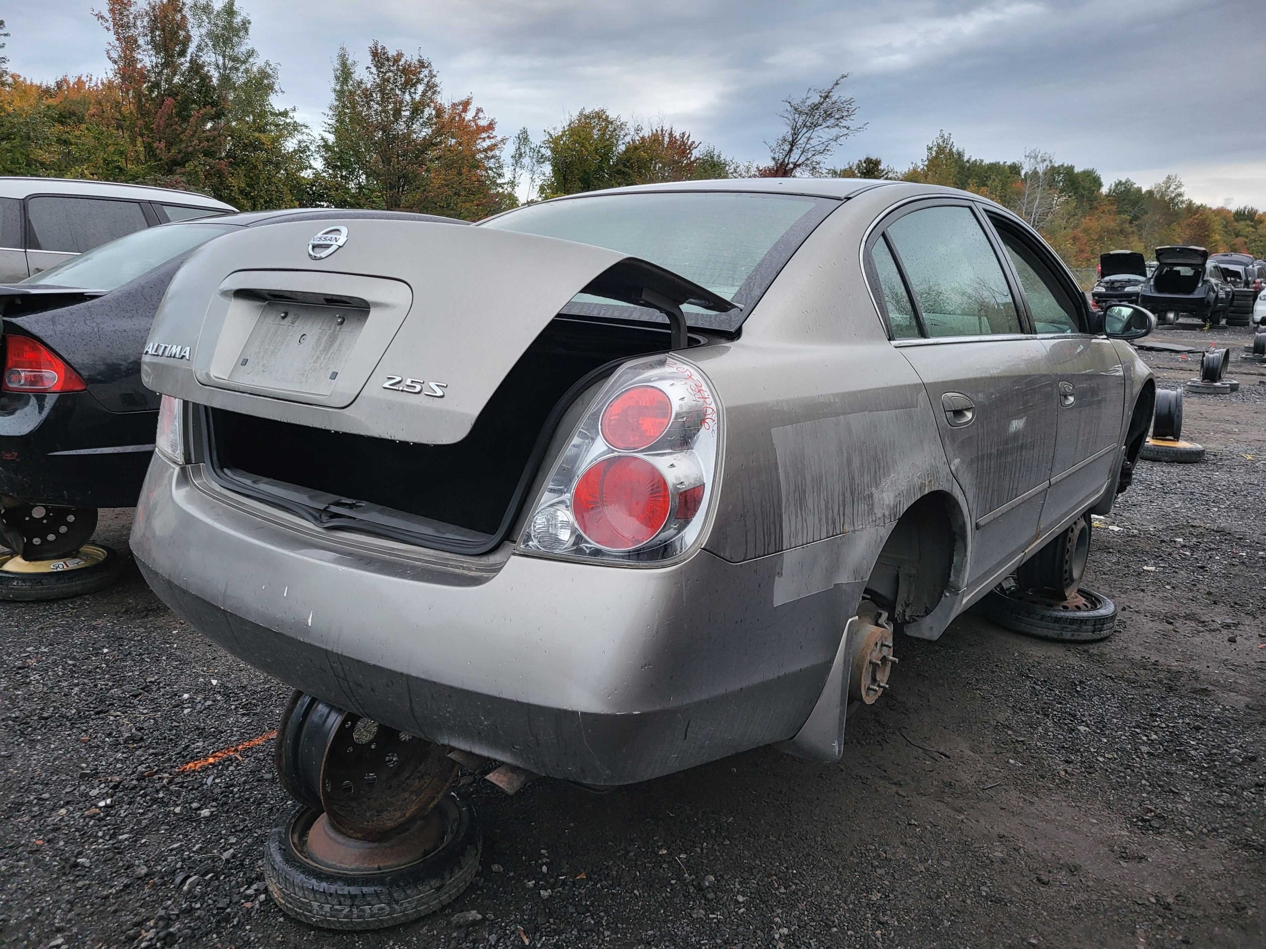 NISSAN ALTIMA 2006