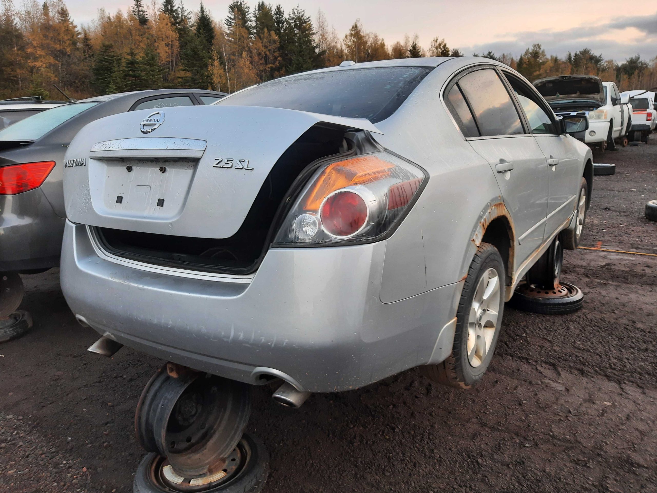 NISSAN ALTIMA 2008