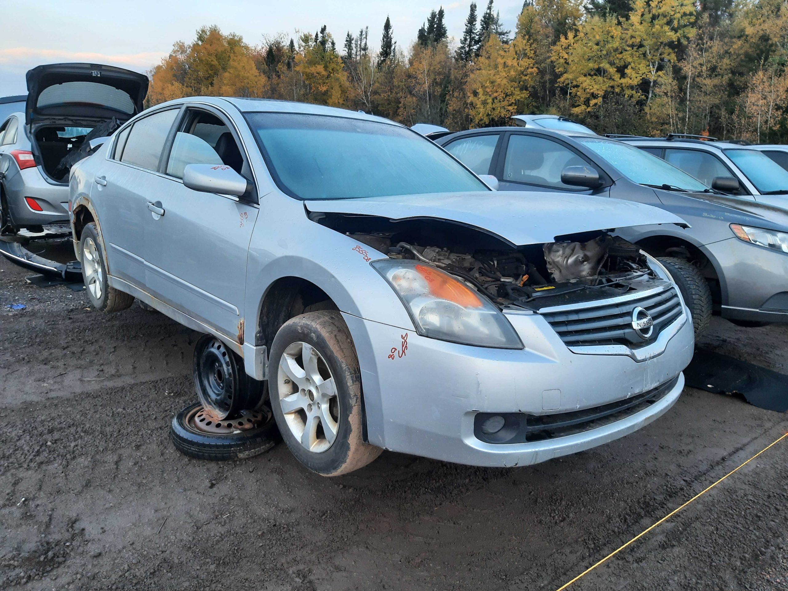 NISSAN ALTIMA 2008