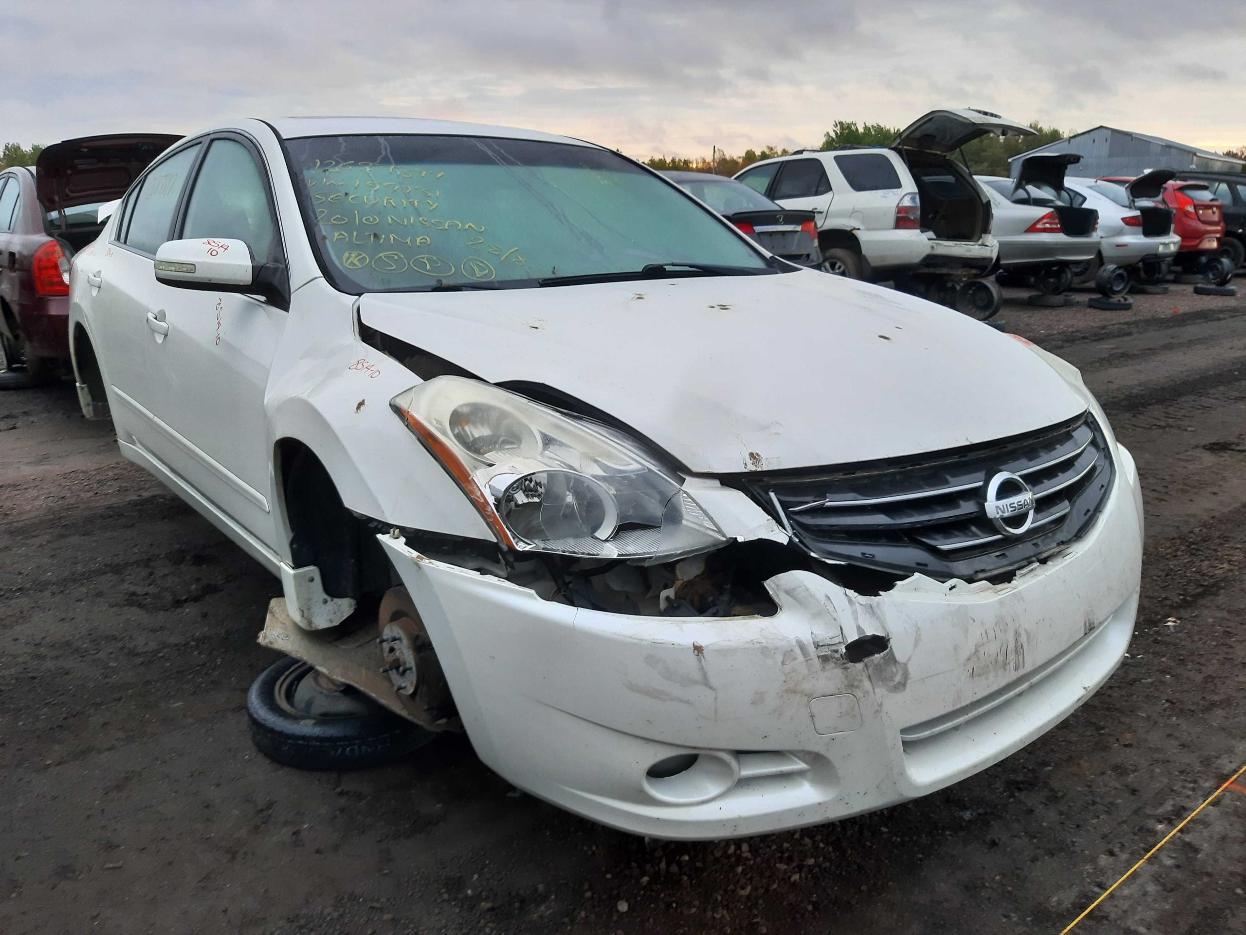 NISSAN ALTIMA 2010