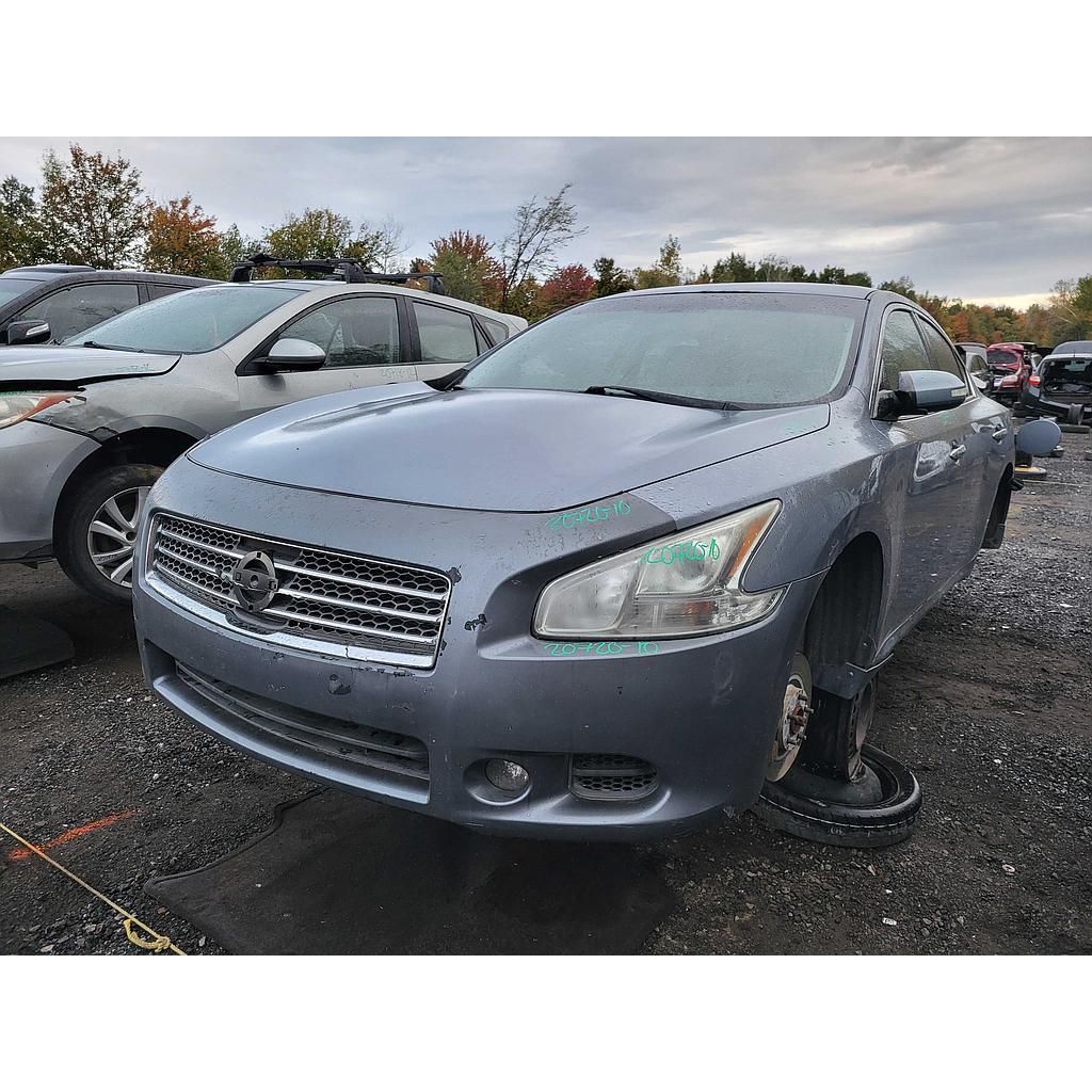 NISSAN MAXIMA 2010