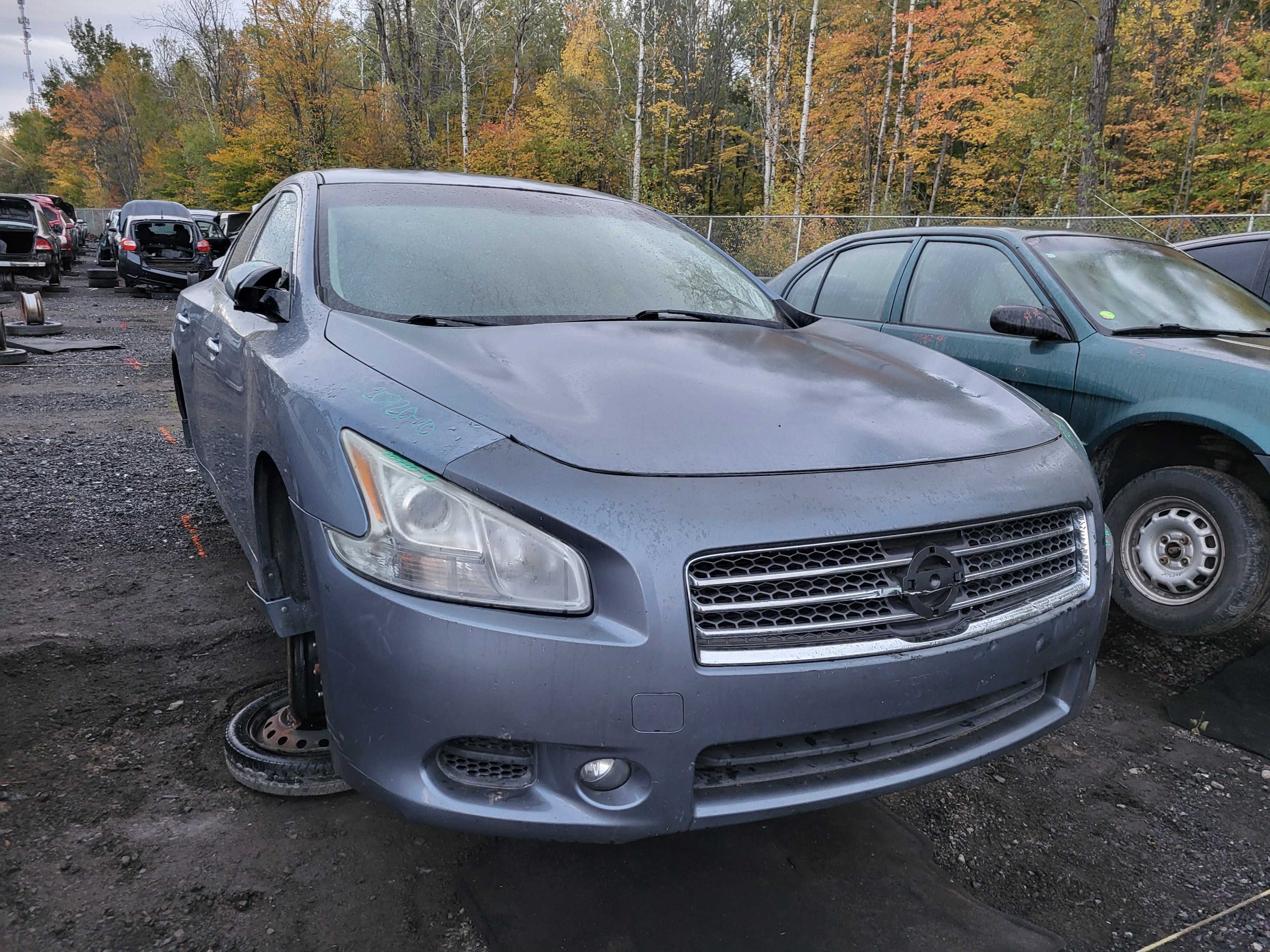 NISSAN MAXIMA 2010