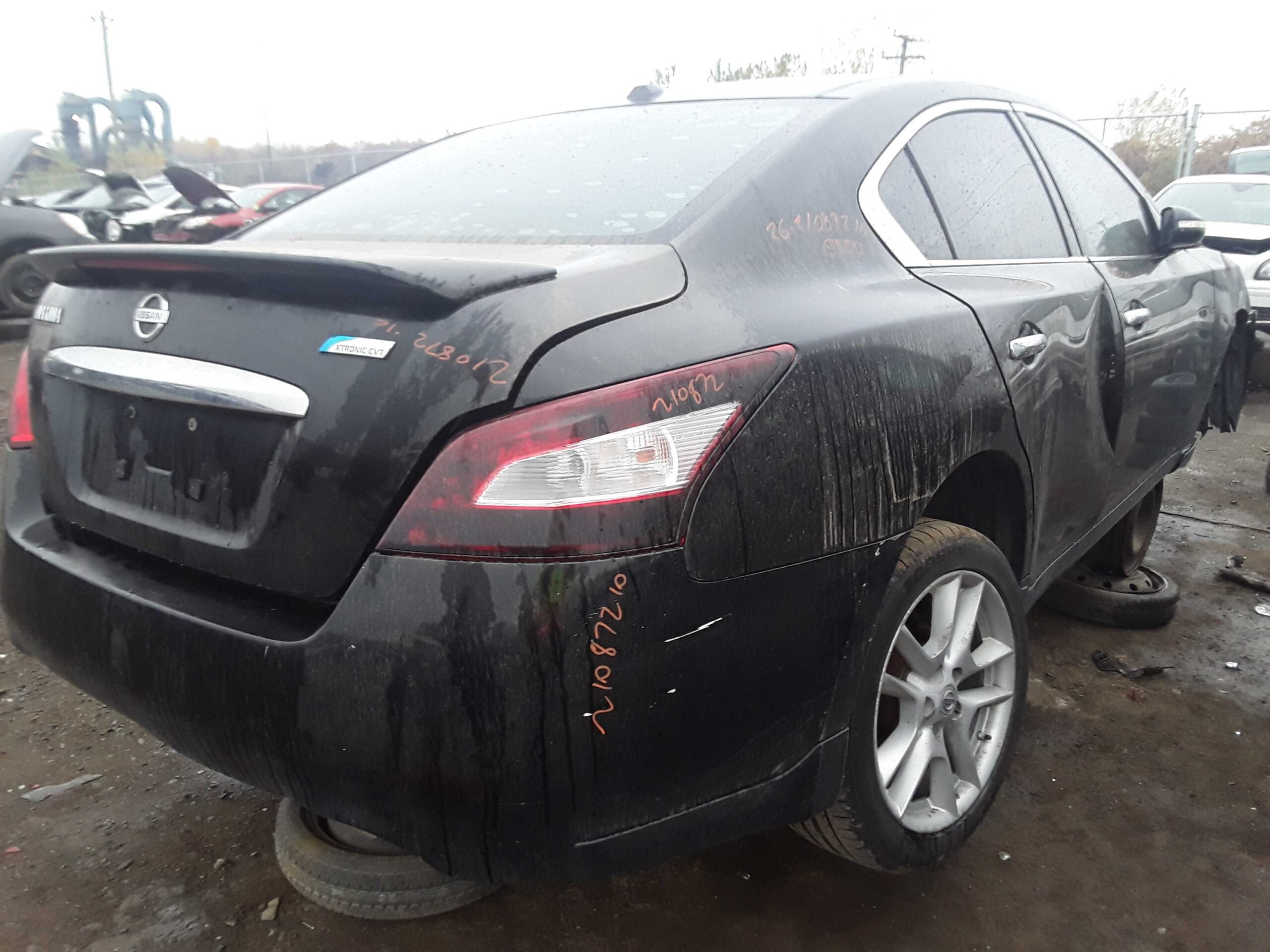 NISSAN MAXIMA 2010