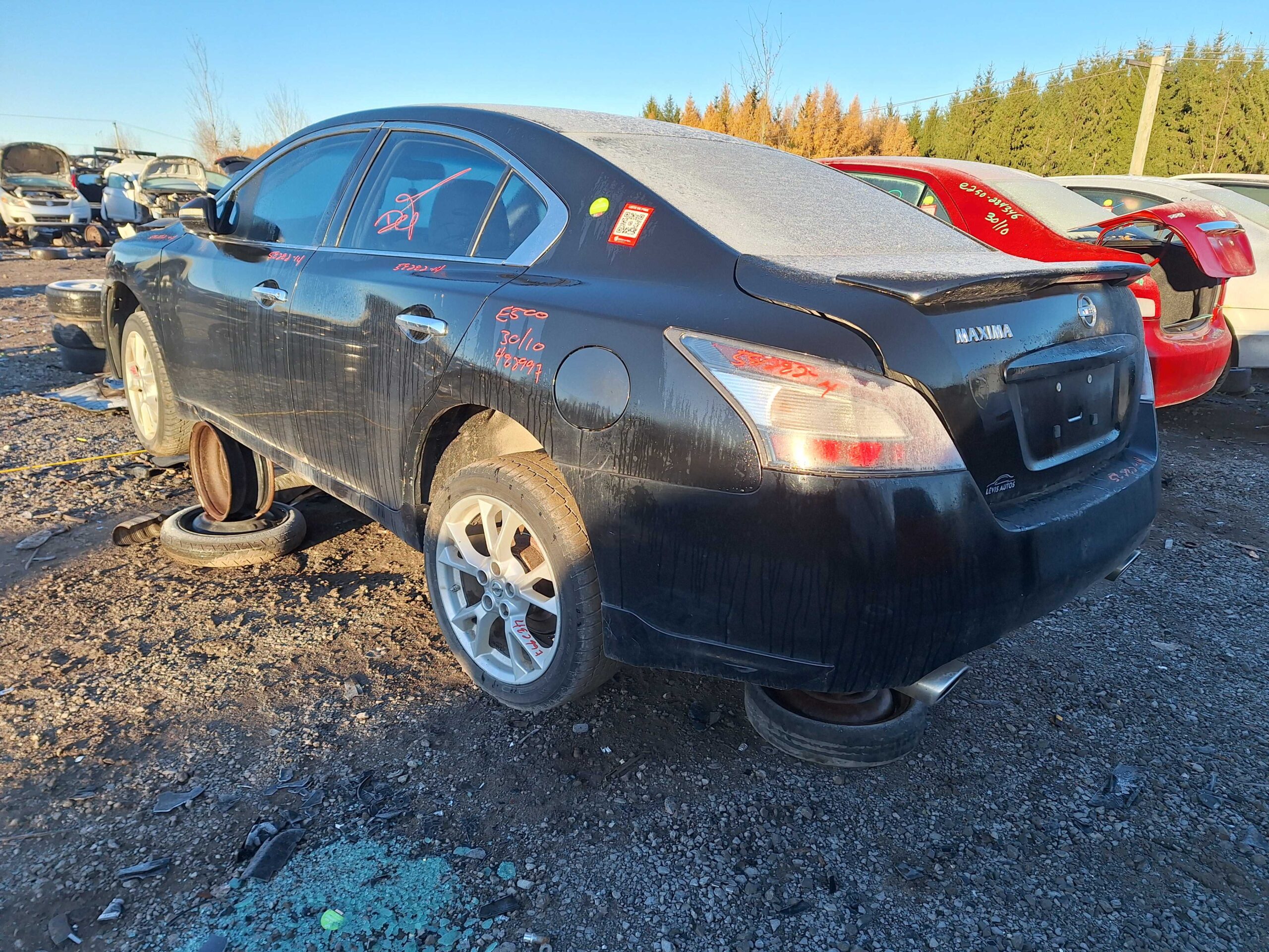 NISSAN MAXIMA 2014