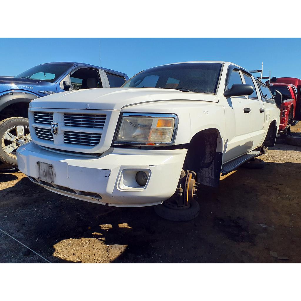 RAM DAKOTA 2011