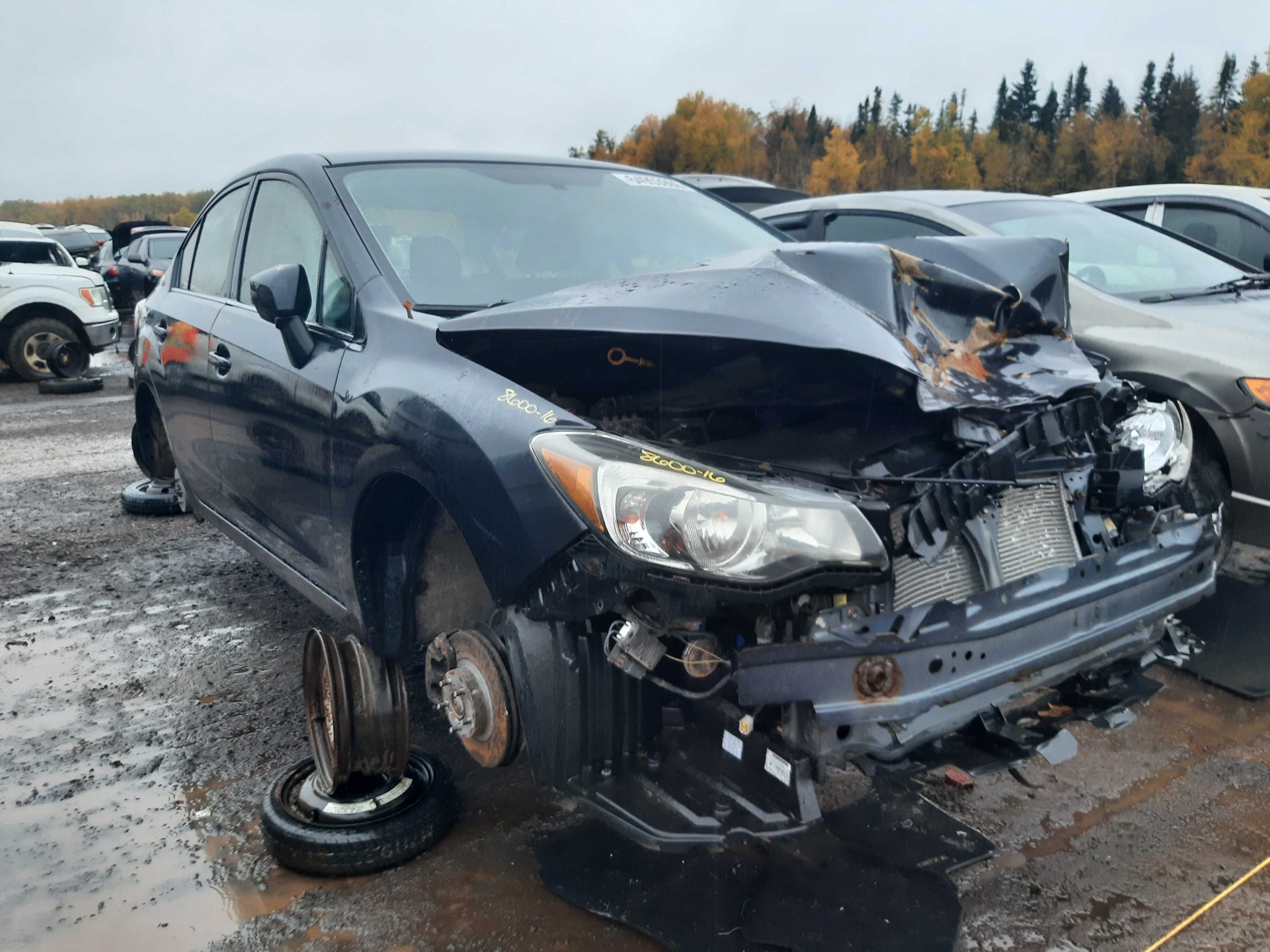 SUBARU IMPREZA 2016