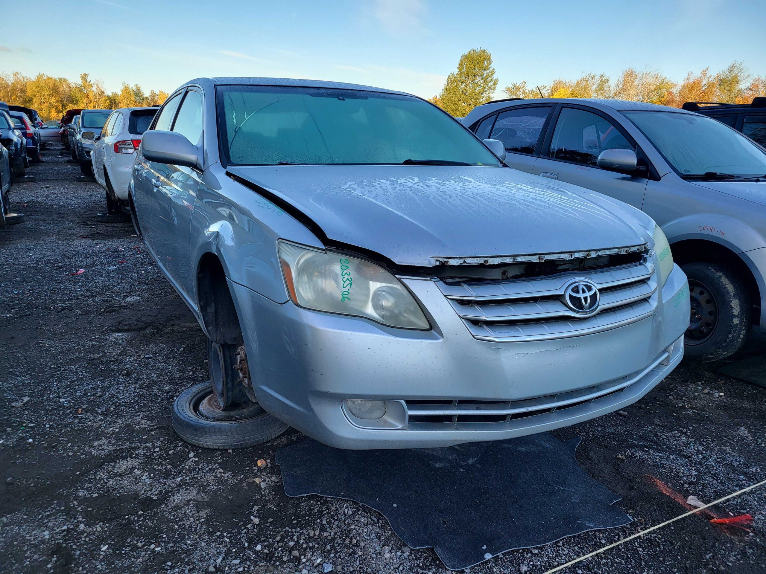 TOYOTA AVALON 2006