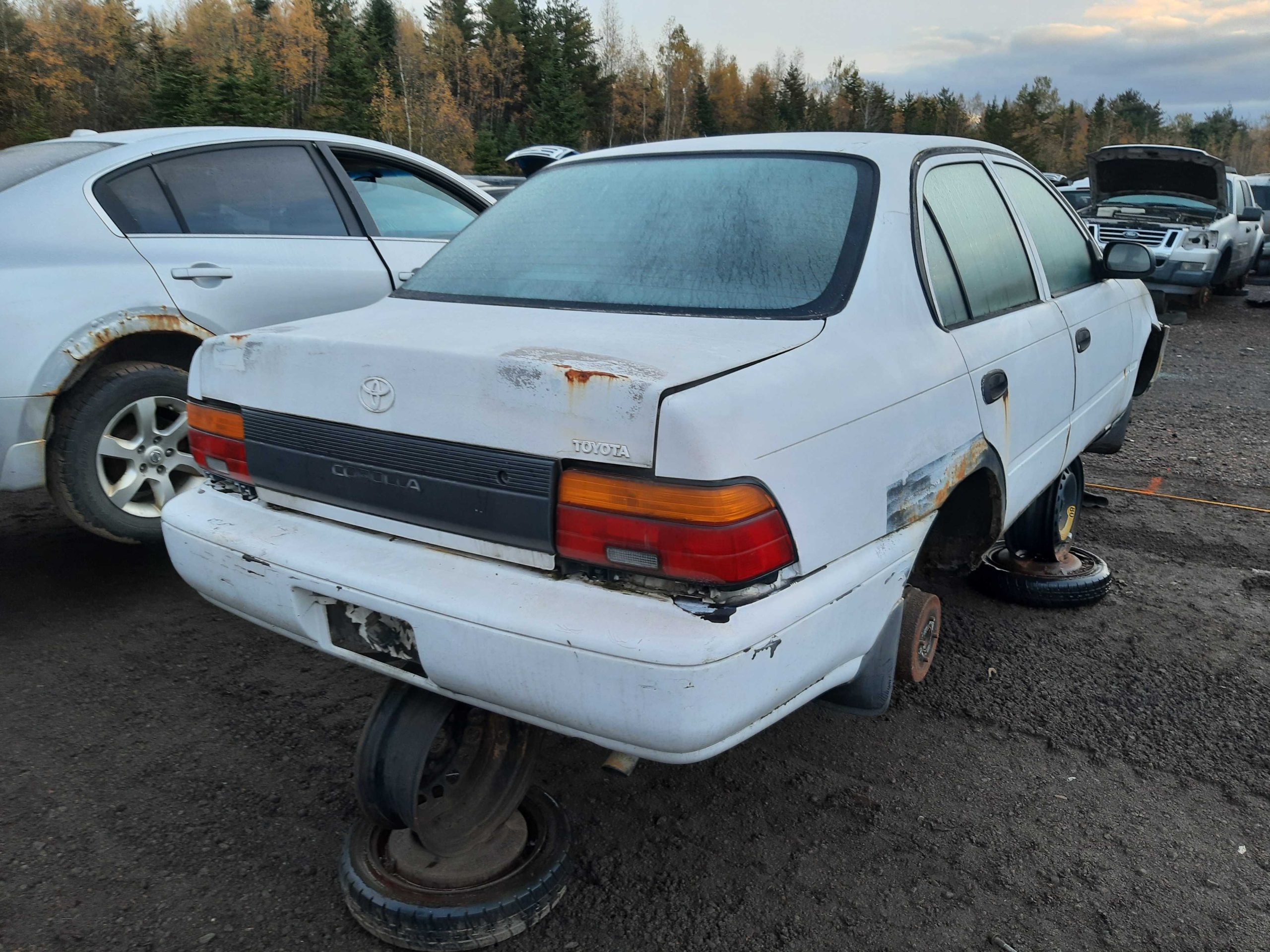 TOYOTA COROLLA 1995