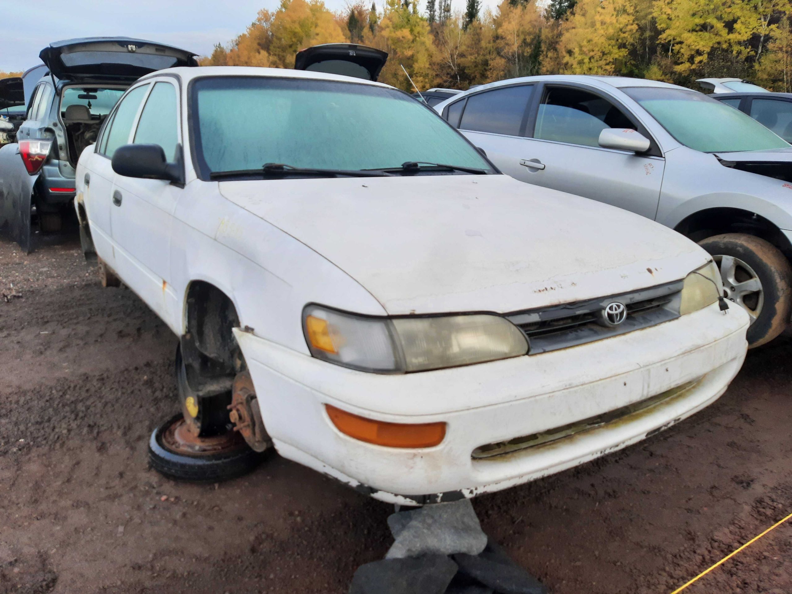 TOYOTA COROLLA 1995