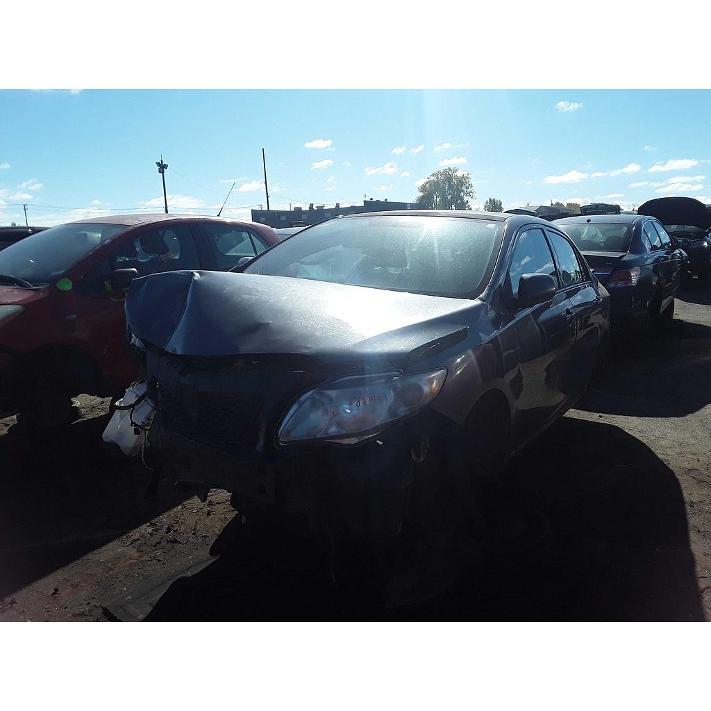 2010 Corolla