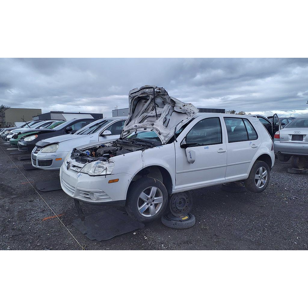 2010 Golf