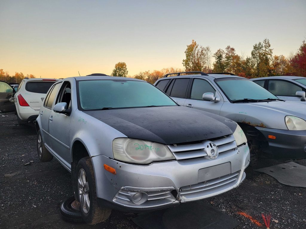 VOLKSWAGEN GOLF 2010