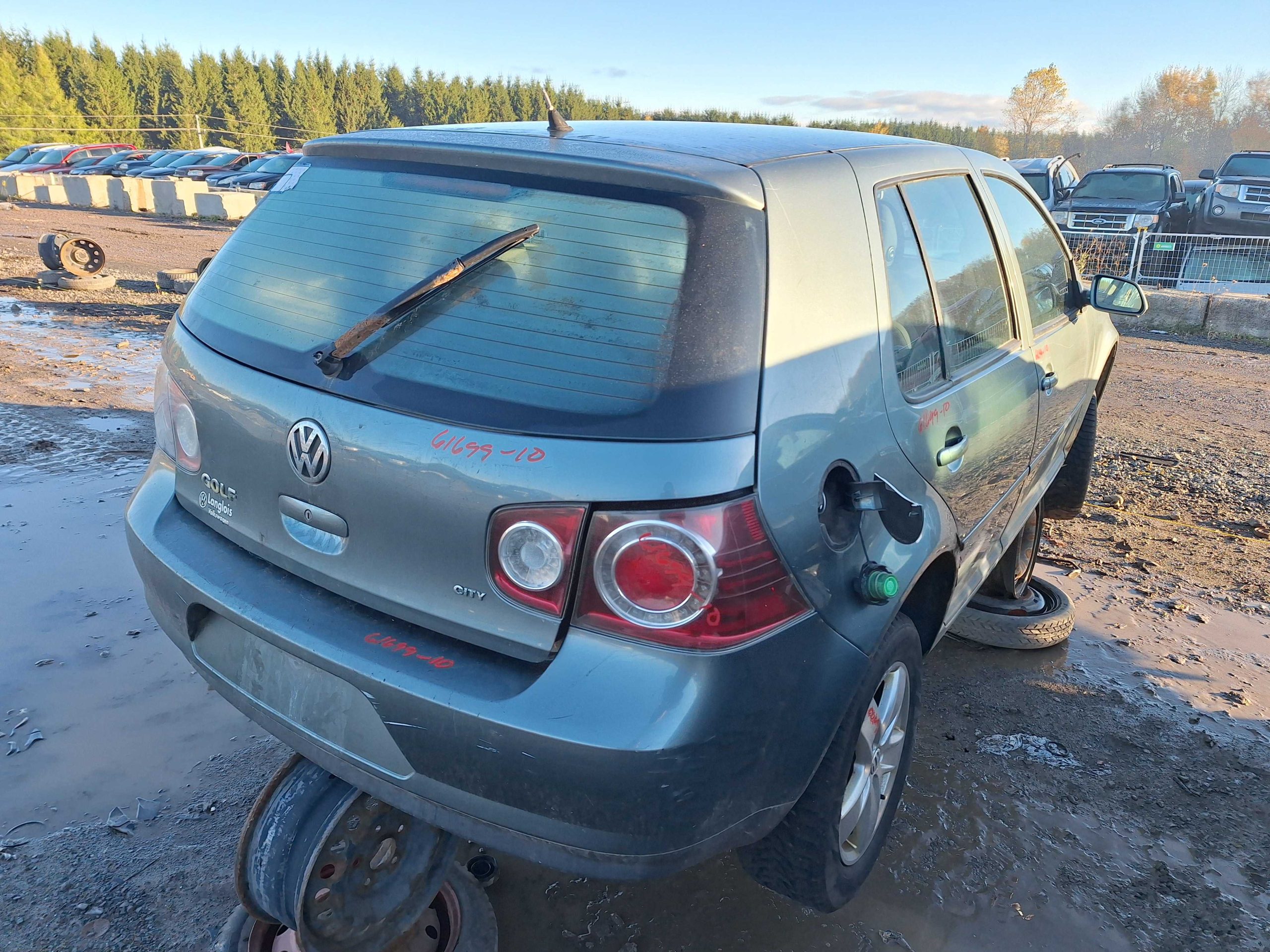 VOLKSWAGEN GOLF 2010