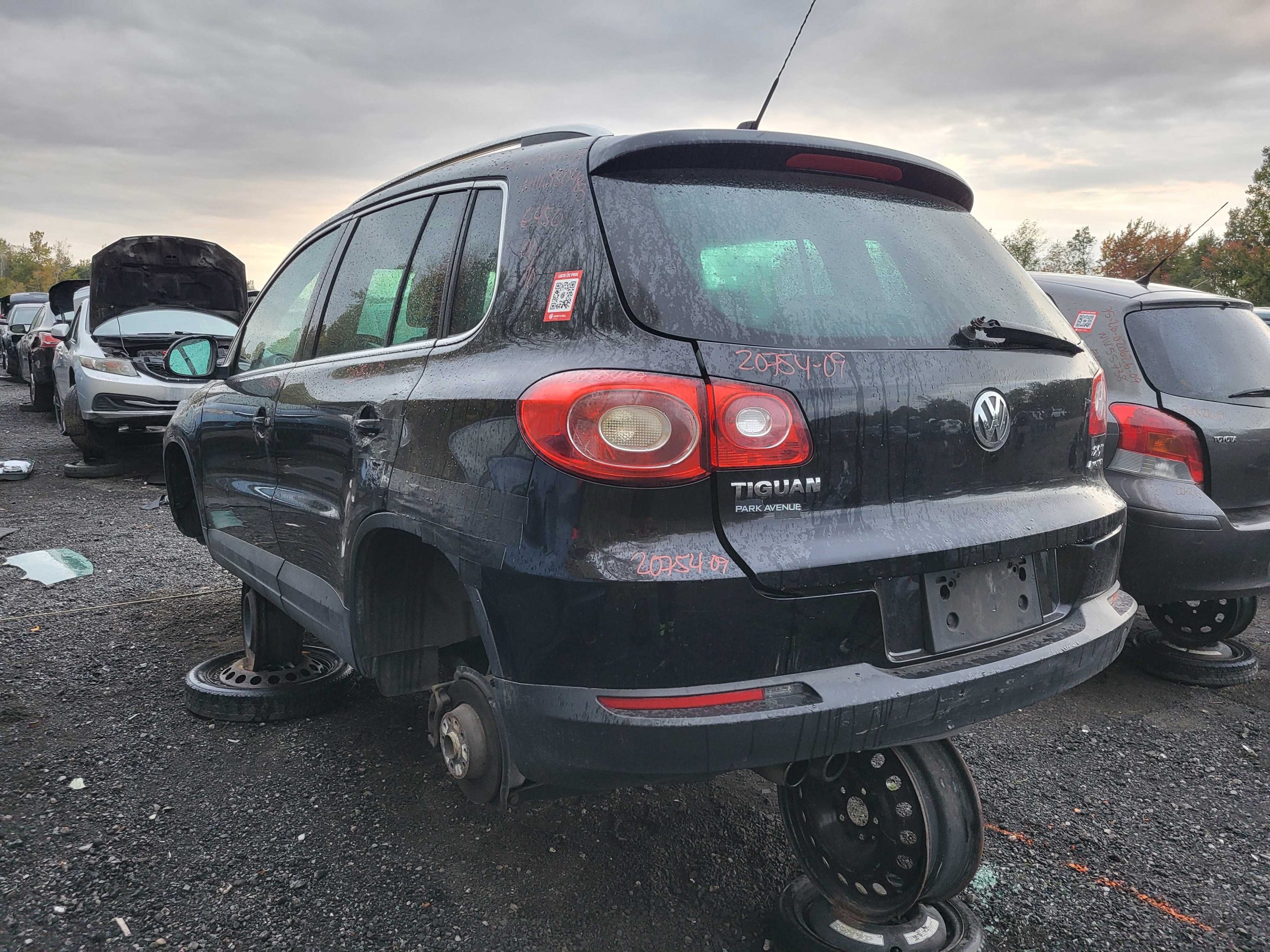 VOLKSWAGEN TIGUAN 2009
