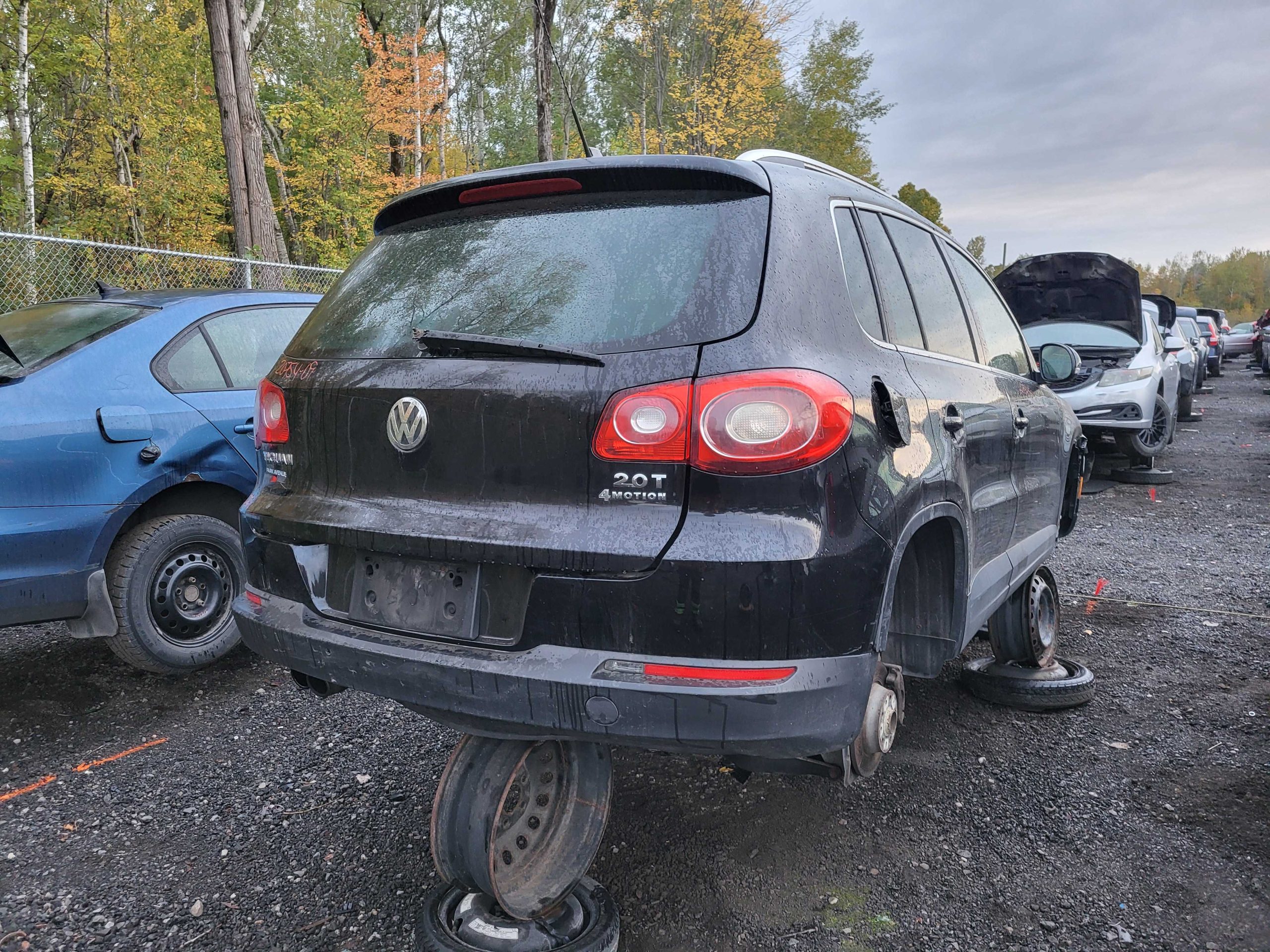 VOLKSWAGEN TIGUAN 2009